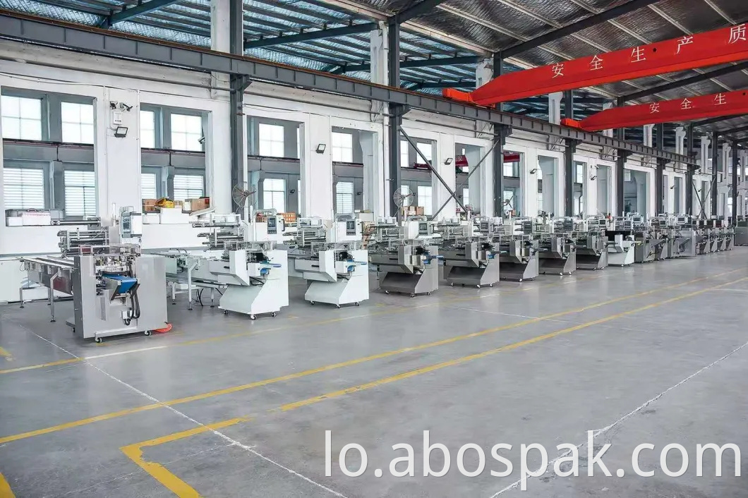 Fully Automatic 200g/500g Spaghetti/Stick Noodle Weighting Plastic Bag Machine Packaging Machine